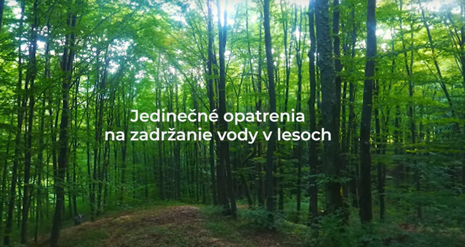 2025 Jedinečné opatrenie na zadržanie vody v lesoch