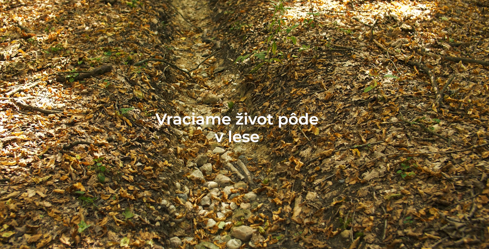 2025 Prinavrácame život pôde v lese