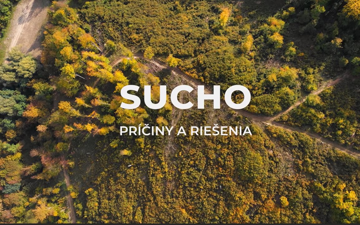 2026 SUCHO príčiny a riešenia